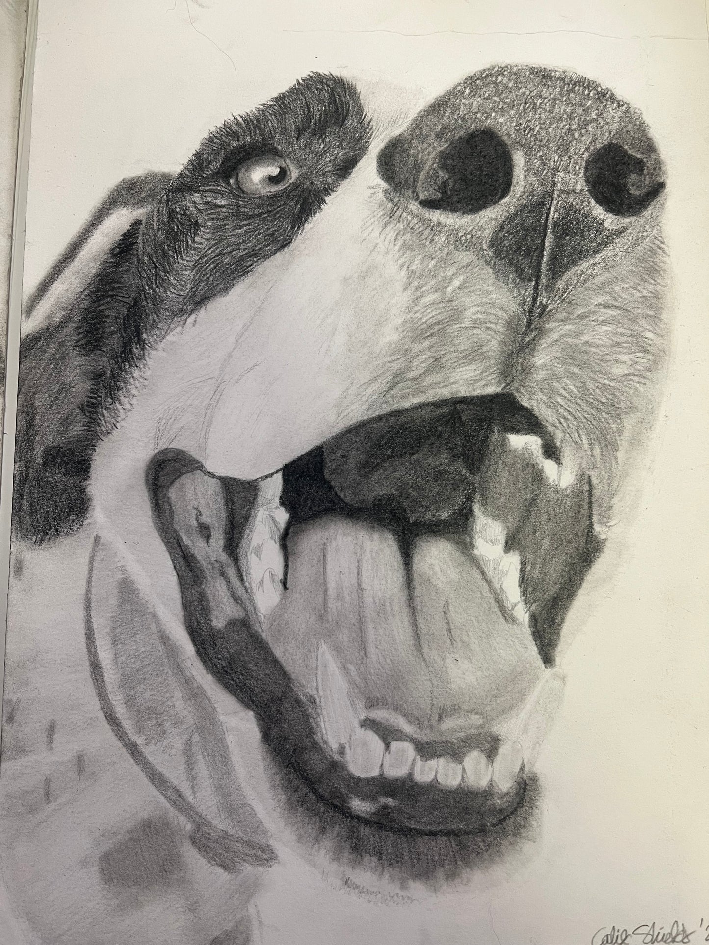 Graphite