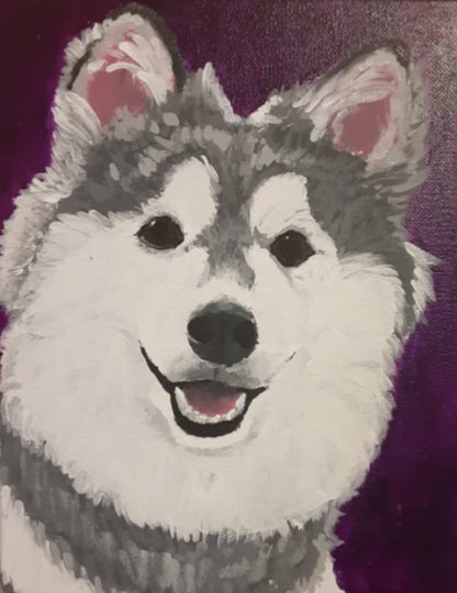 An acrylic painting of a grey and white Alaskan Klee Kai dog with its mouth open in a smile. The background is deep solid purple.